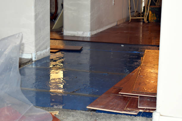 Professional Water Damage technician working in Evans, WA